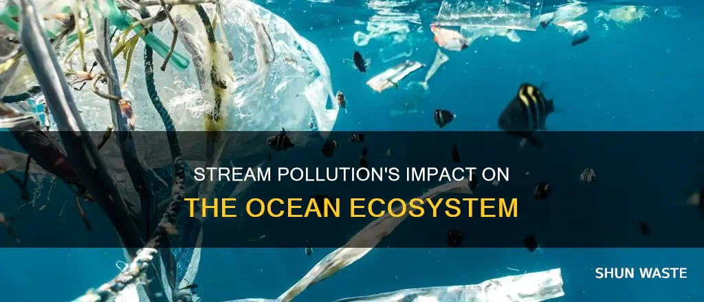 how can pollution in streams affect the oceans