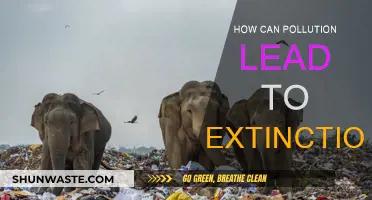 Pollution's Deadly Impact: Extinction's Slow Burn