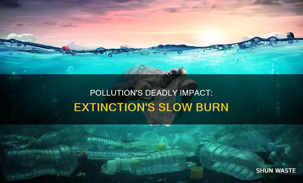 how can pollution lead to extinction