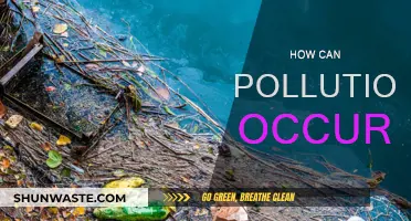 Understanding Pollution: Causes and Sources Explained