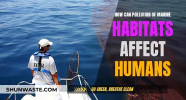 Marine Pollution: Impacting Human Health and Wellbeing