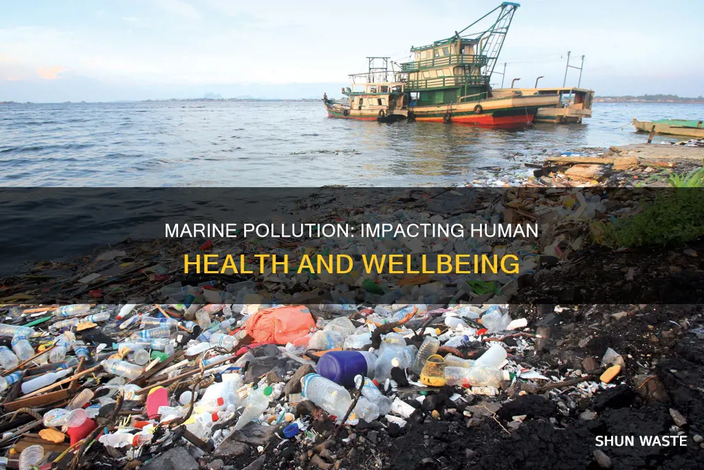 how can pollution of marine habitats affect humans