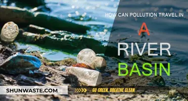 River Basin Pollution: A Journey to the Sea