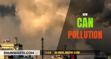 Pollution's Impact: Understanding the Devastating Effects on Our Planet