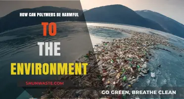 Polymers' Environmental Impact: Uncovering Hidden Dangers and Sustainable Solutions