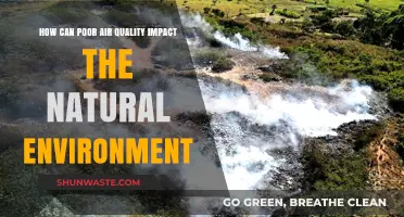 Poor Air Quality's Devastating Effects on Our Natural Environment