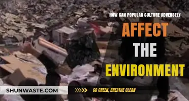 Pop Culture's Dark Side: Environmental Impact and Unsustainable Trends