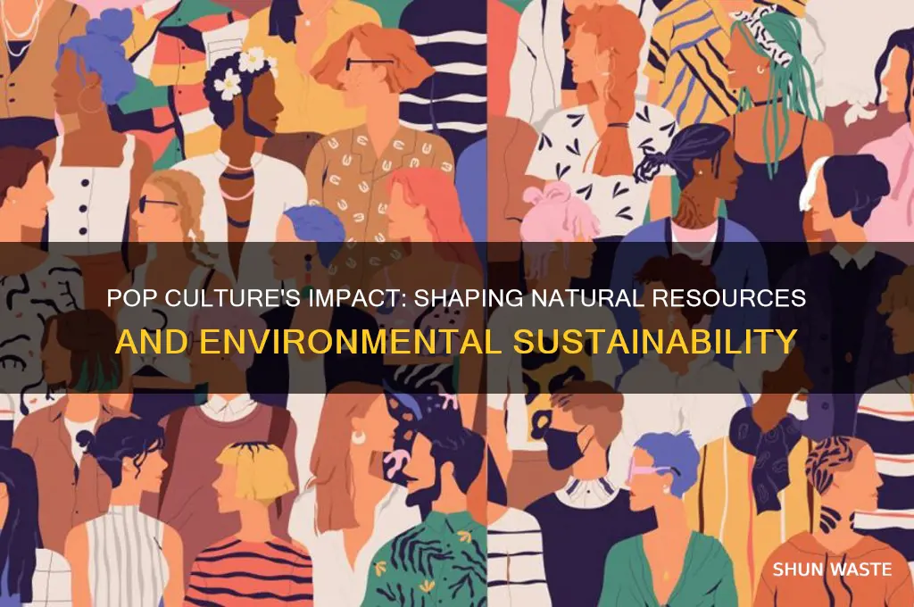 how can popular culture affect the environment of natural resources