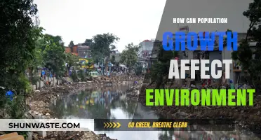 Population Growth's Impact: Environmental Challenges and Sustainable Solutions