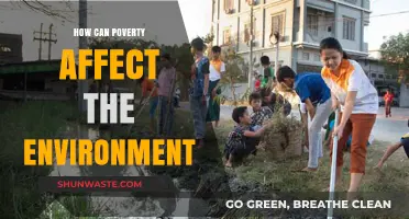 Poverty's Environmental Impact: How Economic Hardship Harms Our Planet