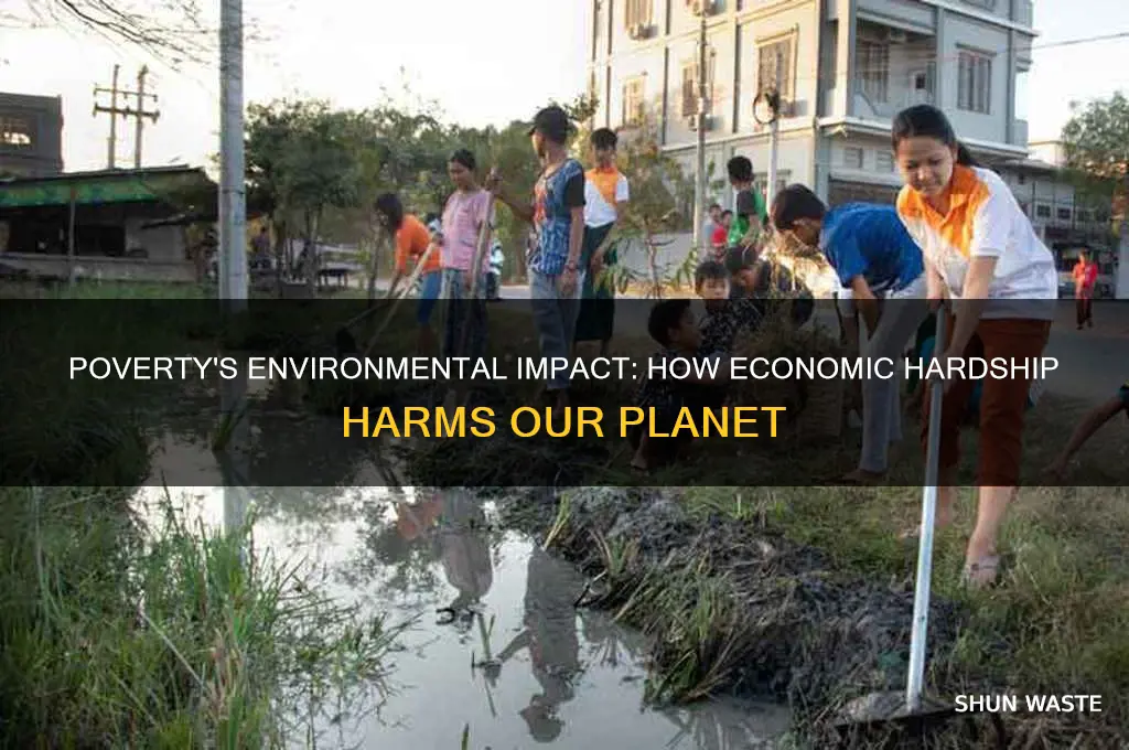 how can poverty affect the environment