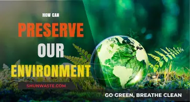 Sustainable Living: Simple Steps to Protect and Preserve Our Environment
