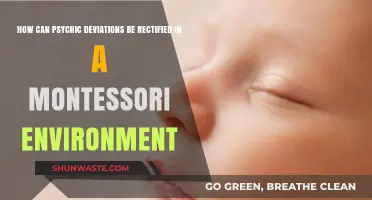 Rectifying Psychic Deviations in Montessori: Strategies for Holistic Child Development