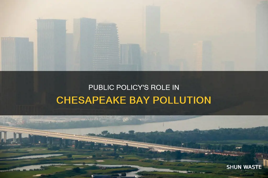 how can public policy impact pollution of the chesapeake bay