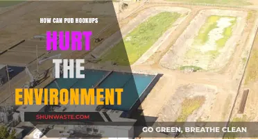 Pud Hookups' Hidden Costs: Environmental Impacts and Sustainable Alternatives