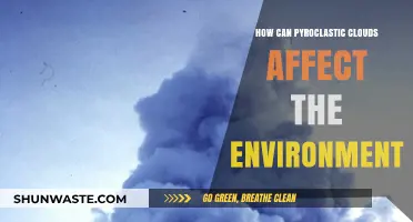 Pyroclastic Clouds: Environmental Impacts and Long-Term Ecological Consequences