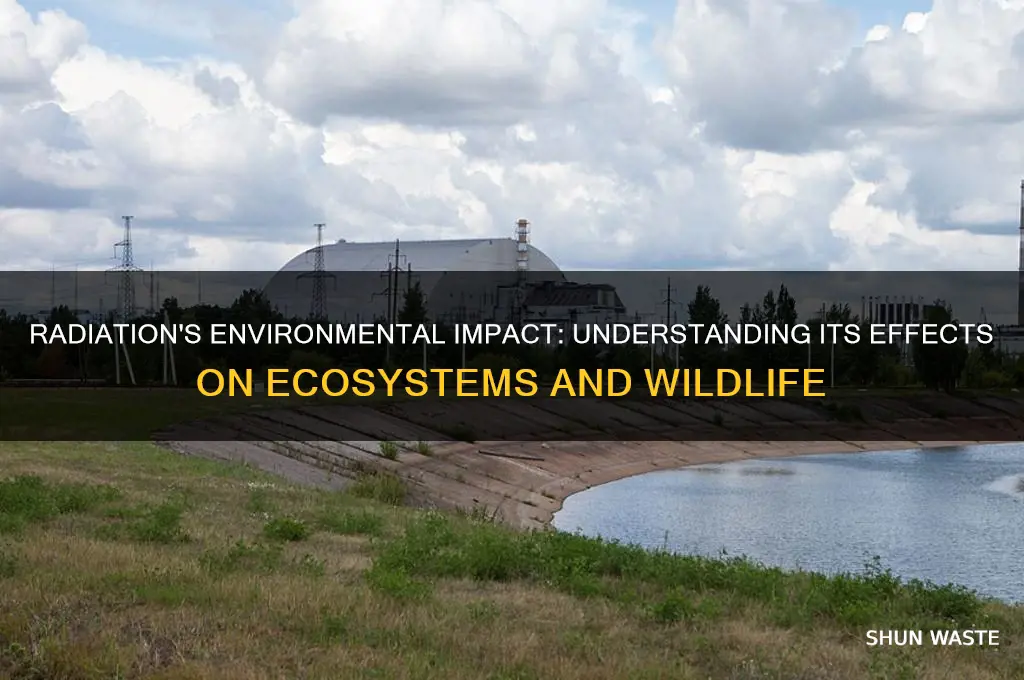 how can radiation affect the environment