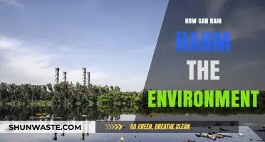 Rain's Dark Side: Environmental Impacts and Ecosystem Disruptions Explained
