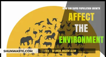 Rapid Population Growth: Environmental Impacts and Sustainable Solutions