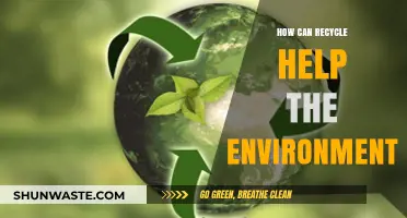 Recycling's Impact: How Reusing Materials Protects Our Planet and Future