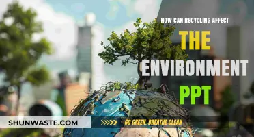 Recycling's Impact: Transforming Our Environment Through Sustainable Practices