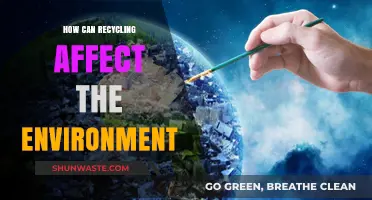 Recycling's Impact: How It Shapes and Protects Our Environment