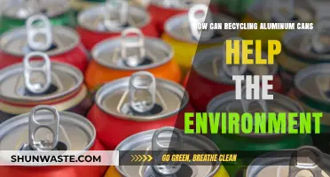 Recycling Aluminum Cans: A Simple Step for a Greener Planet