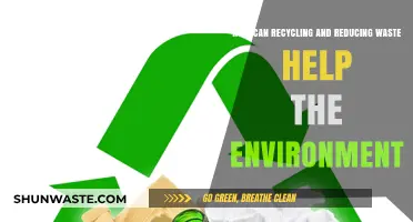Recycling and Reducing Waste: Key Steps to Protect Our Environment