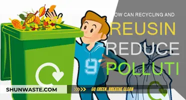 Recycling and Reusing: Pollution Reduction Strategies