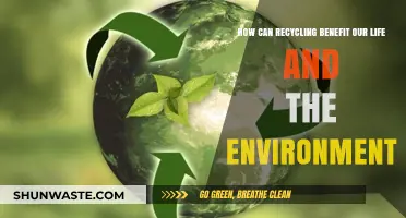 Recycling's Impact: Enhancing Lives and Protecting Our Environment Effectively