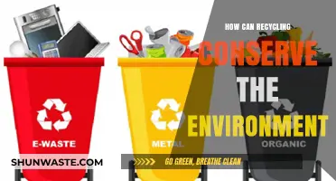 Recycling's Power: How Reusing Materials Protects Our Fragile Environment