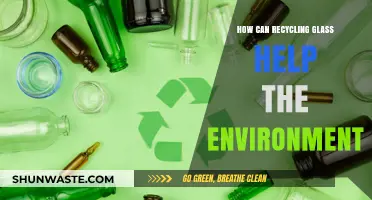Recycling Glass: A Sustainable Step to Protect Our Environment
