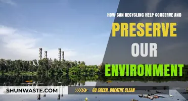 Recycling's Role: Conserving Resources, Preserving Ecosystems, and Protecting Our Planet