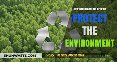 Recycling for a Greener Future: Protecting Our Environment Through Sustainable Practices