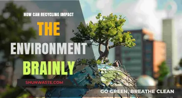 Recycling's Environmental Impact: Benefits, Challenges, and Brainly Insights