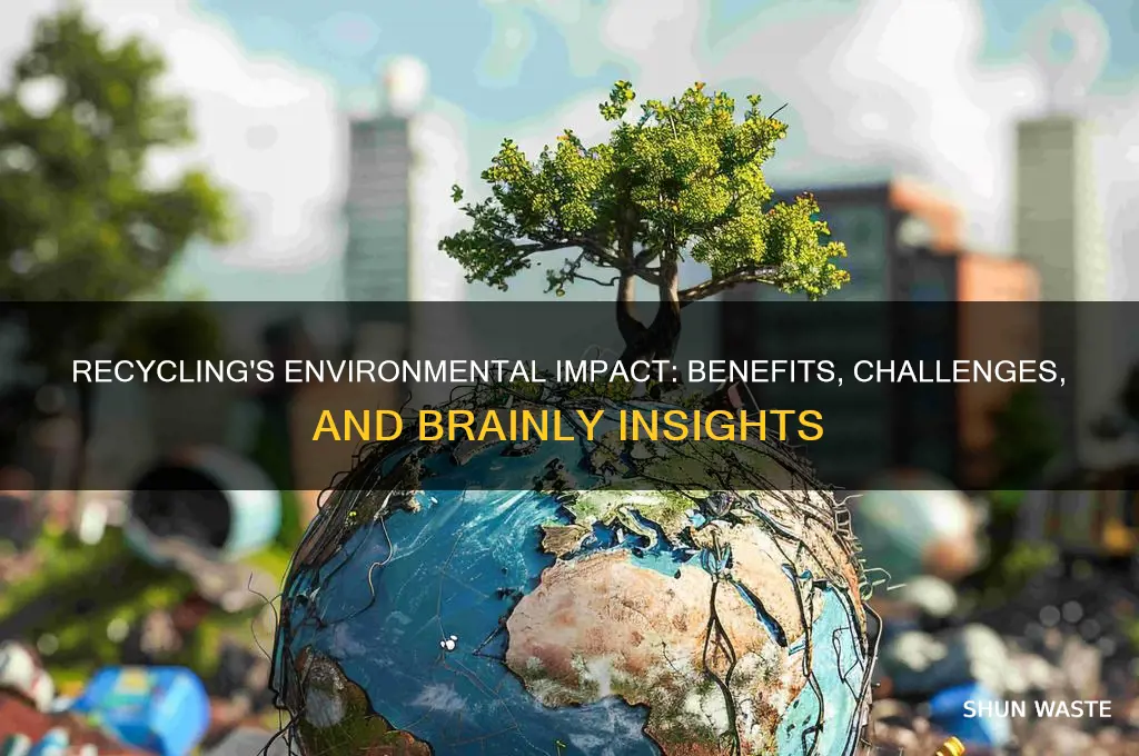 how can recycling impact the environment brainly