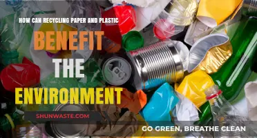 Recycling Paper and Plastic: Sustainable Steps to Protect Our Planet