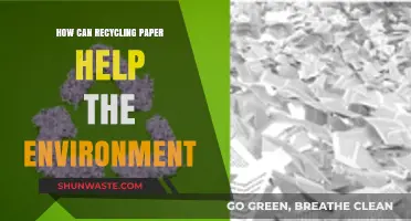 Recycling Paper: A Simple Step to Save Trees and Reduce Waste