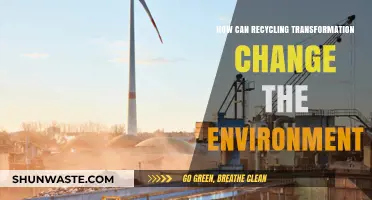 Recycling Transformation: Revitalizing Ecosystems and Shaping a Sustainable Future