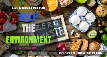 Cut Food Waste, Save the Planet: Eco-Friendly Tips for Impact