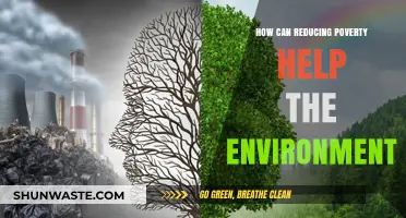 Reducing Poverty: A Powerful Strategy for Environmental Sustainability and Renewal