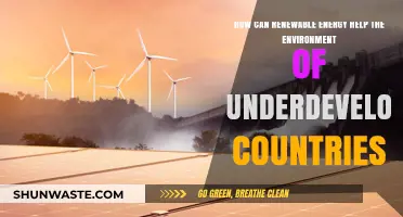 Renewable Energy: A Sustainable Path for Underdeveloped Nations' Environment