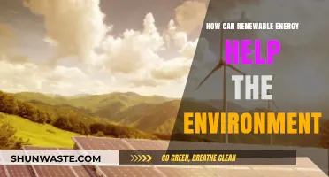 Renewable Energy's Role in Protecting Our Environment and Future