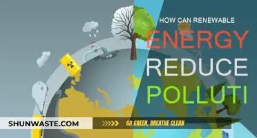 Renewable Energy: Pollution Solution for a Cleaner Future