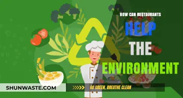 Sustainable Dining: How Restaurants Can Champion Environmental Stewardship