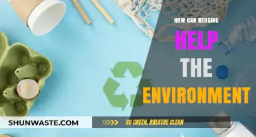 Reusing Reduces Waste: Simple Eco-Friendly Tips for a Greener Planet