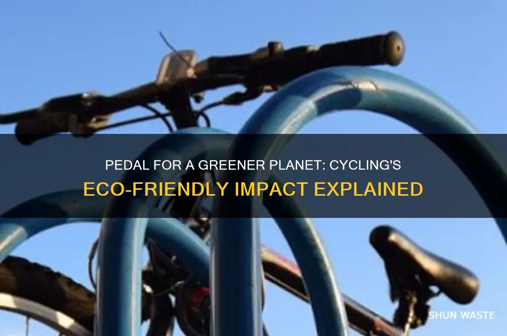 how can riding a bike help the environment