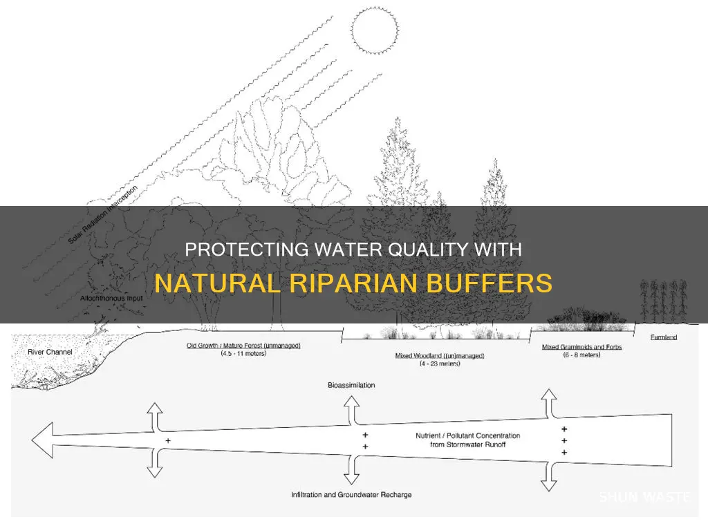 how can riparian buffers help prevent water pollution