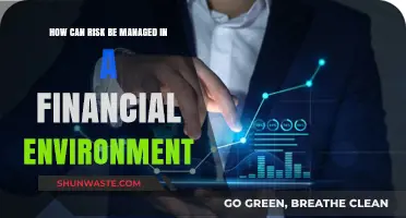 Effective Risk Management Strategies for Financial Stability and Growth