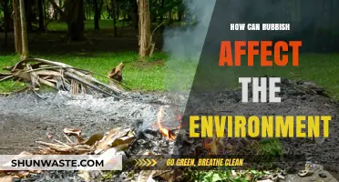 Rubbish's Environmental Impact: Pollution, Wildlife Threats, and Ecosystem Destruction Explained